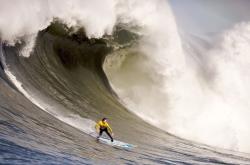 开云平台-猎鹰之夜，乔治攻防两端的绝对统治，黄蜂强势锁定胜局