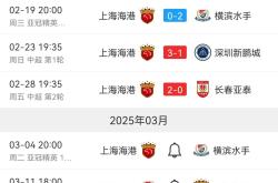 开云体育官网-上港客场硬战获胜，积分榜升至第二