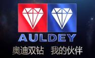 开云体育官网-亚眠决胜局触底反弹，奋力挽回颓势的简单介绍