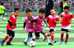 开云体育官方网站-选手全力拼搏球场上激烈比拼胜负难分