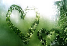 开云官方app入口-丹麦队力克印度队，李梓嘉刷新纪录的简单介绍