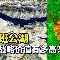 科科斯群岛队实力强劲，晋级赛事后续阶段
