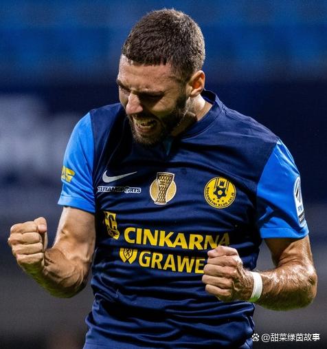 斯洛文尼亚新星签约意甲球队，勇闯欧罗巴赛场的简单介绍