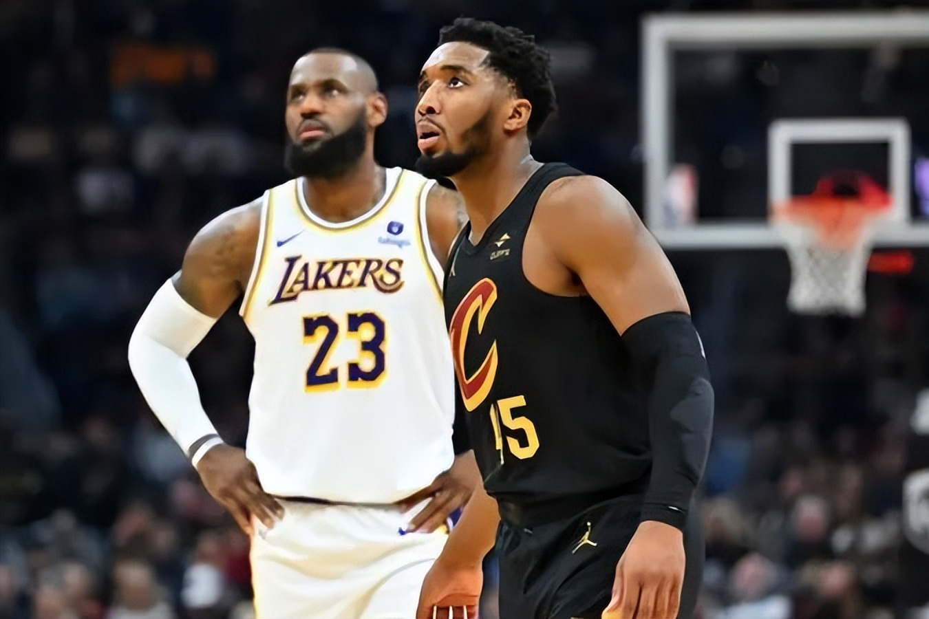 关于青岛队鏖战湖人，米切尔统治全场的信息